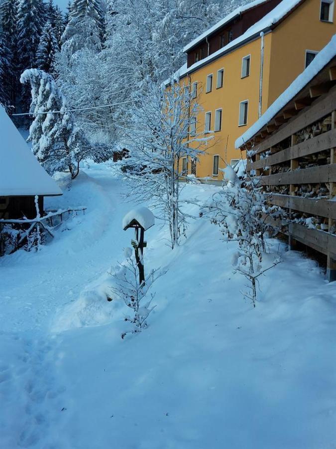 Ferienwohnung Haus Sonnenblick Luftkurort Lückendorf Eksteriør bilde